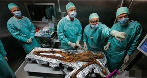 阿尔卑斯山千年冰尸现神秘纹身参与的科学家离奇死亡