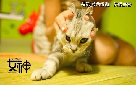 老婆|这个故事告诉我们的是什么道理