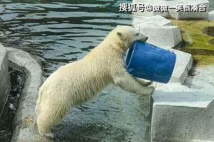 老婆|这个故事告诉我们的是什么道理