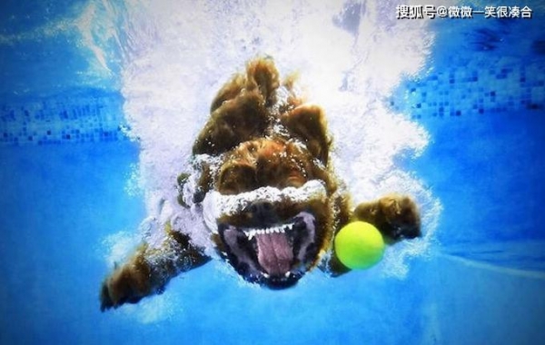 老婆|这个故事告诉我们的是什么道理