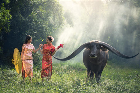 为何请柬埔塞女生来中国玩，竟遭到她们拒绝？看看当地人怎么说？