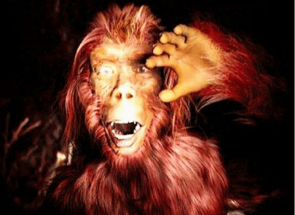 如果单从古代文献上来看,古人认为神农架确实真的生活着野人.