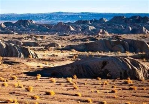 全球最神奇沙漠：91年没下过雨，却在一夜间开满花，让人无法理解