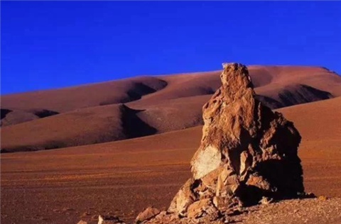 全球最神奇沙漠：91年没下过雨，却在一夜间开满花，让人无法理解