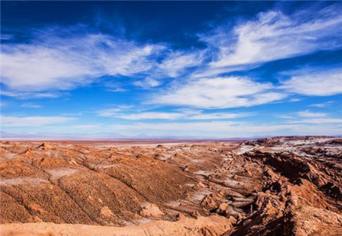 全球最神奇沙漠：91年没下过雨，却在一夜间开满花，让人无法理解