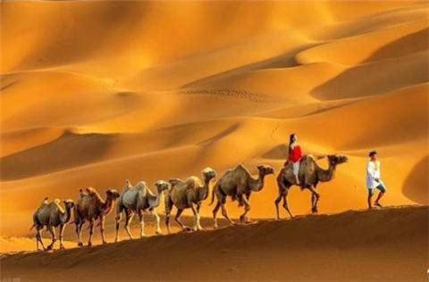 全球最神奇沙漠：91年没下过雨，却在一夜间开满花，让人无法理解