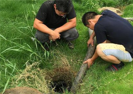 男子清理地下管道，挖开后发现不对劲，用棍子挑开后浑身冒冷汗