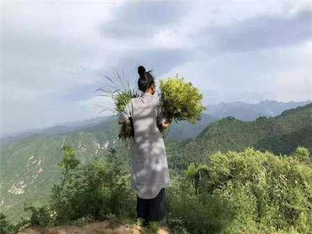 终南山隐居的女人图片