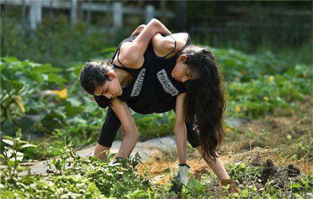 连体姐妹共用下半身同嫁一个男人那如何生儿育女