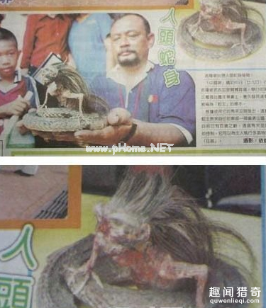 印尼发现人头蛇身怪物 农村惊现人头蛇身的女人