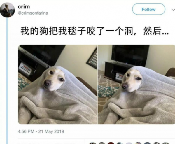 女同事|别以为我不知道你在看哪？小样！