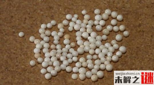 舍利子是怎么形成的为什么只有佛教有