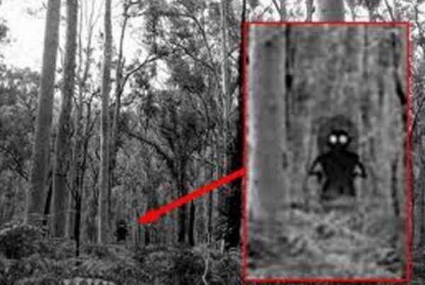 弗拉特伍兹怪物形象根据现场的目击者称,"弗拉特伍兹怪物"高达12英尺