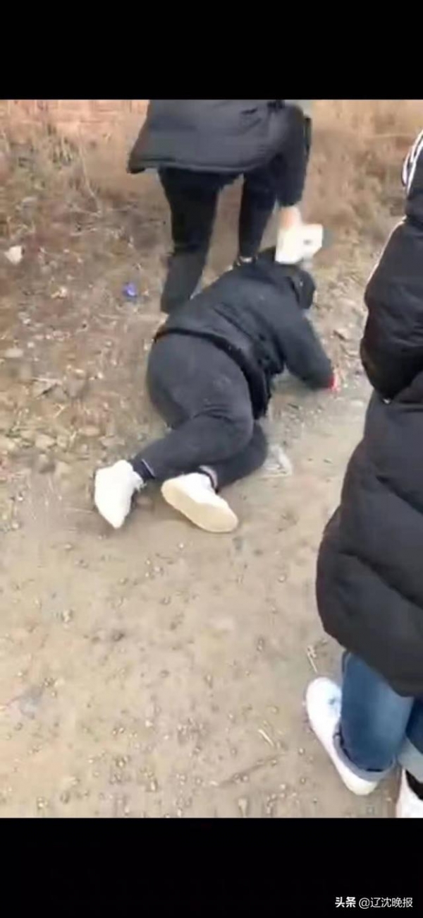 跪地扇耳光踹头群殴14岁男孩被5个男孩暴打妈妈崩溃