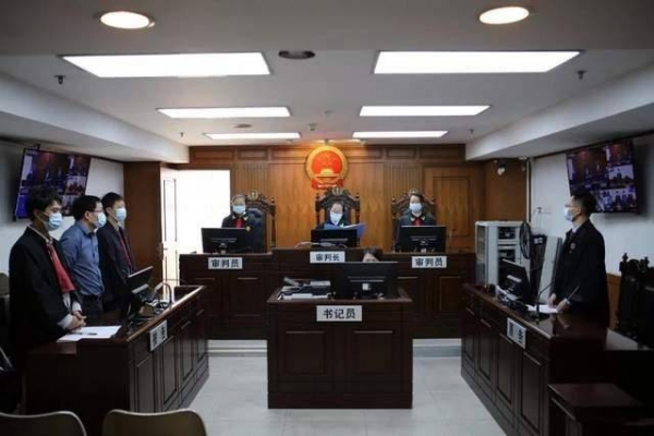 女子被天降大狗砸瘫获赔超百万原告被告都不满意