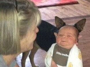 远光灯|其实看不出有个人......