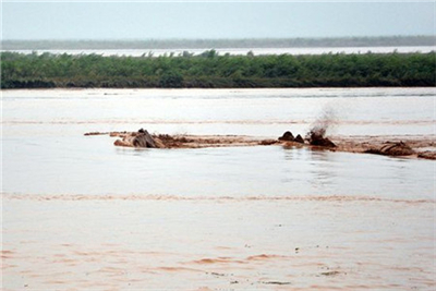 黄河揭河底很诡异经多年研究专家却无法破解这个谜团5