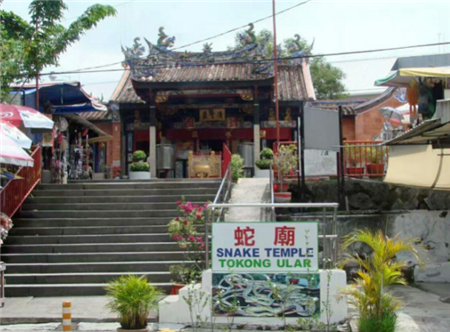寺庙|全球唯一的“蛇庙”，寺内遍地是青蛇，游客：我们一点也不怕