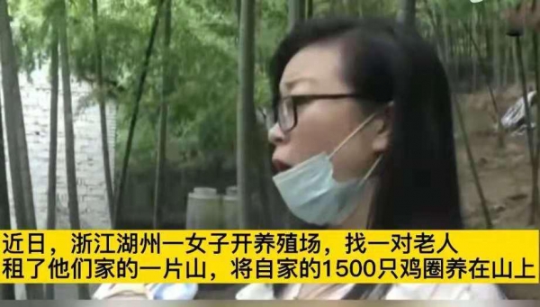 7500涨到5万 女子开养殖场让房东眼红 涨租金不成放走1500只鸡 看看头条 中华网