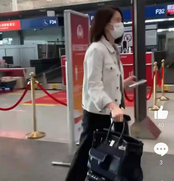 袁咏仪在机场炫富引争议，手提37万名牌包包，戴27万手表太奢侈
