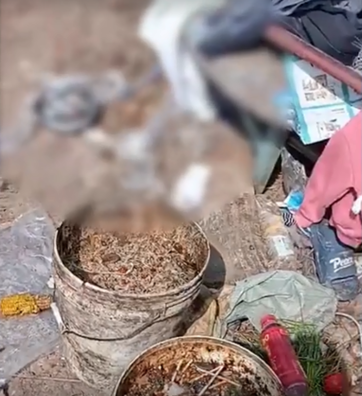 网曝湖南一女婴每天吃泔水睡在垃圾堆当地政府回应太无奈帮扶很多次了