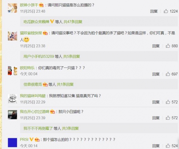 《当家主母》评分跌至3.0，再发视频否认电死小猫，已报案追责