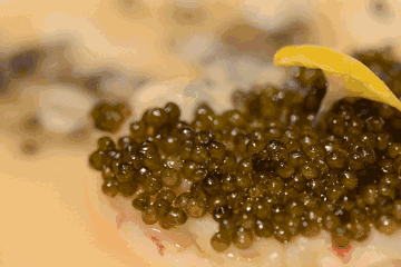 严格来说,只有鲟鱼卵才可称为鱼子酱,它是鲟鳇鱼卵,鲑鱼卵等的腌制品