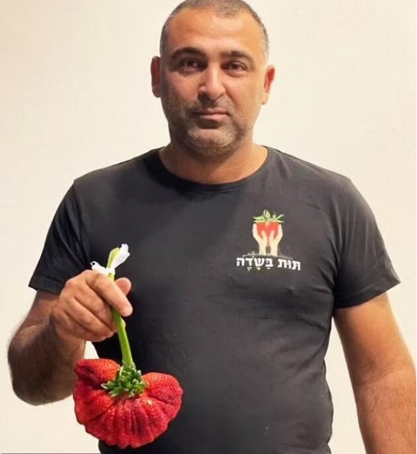 以色列农民种出“世界上最重的草莓”一颗重289克打破吉尼斯纪录