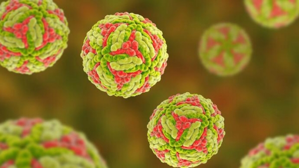 澳大利亚出现乙脑病毒传播已有10人确诊2人死亡