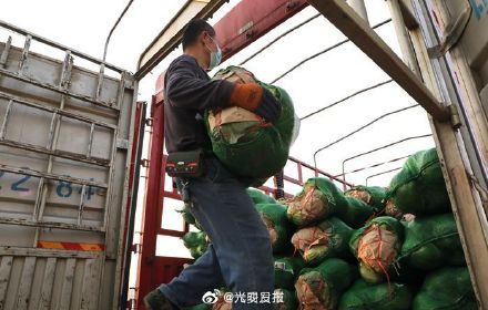 安徽多地调集新鲜蔬菜支援上海