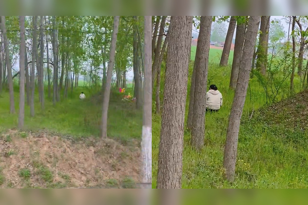 4月17日,河南商丘夏邑县一女子连续数日在路边看到一名女孩守在树林里