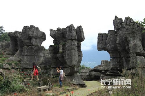 四川一4a級景區2805萬元破產拍賣 為世界上最古老石林