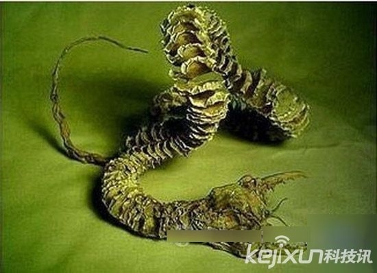 盘点中国十大灵异事件