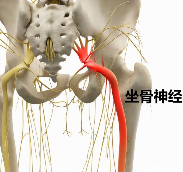 屁股针,父母以及医生总在一旁吓唬你,让你不要动,如果乱动会打到神经