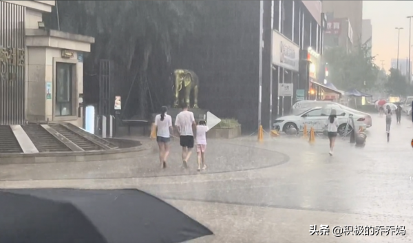 突降大雨，一家三口整整齐齐雨中漫步，网友：大型摆烂现场！