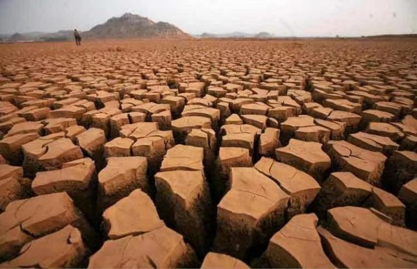 江西鄱阳湖太干了好多地方都出现干旱缺水