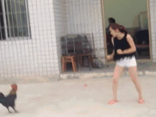 还是|搞笑GIF:天这么冷,汽车都冻得发抖了。我还是不出门了