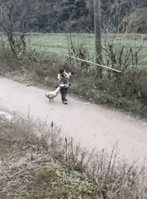 妹子|搞笑GIF：别撒娇，现在就给你买，快点起来！