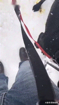 靶子|搞笑GIF:姑娘叫我去当活靶子,你们说我去不