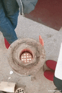 老鼠|搞笑GIF:这东西还蛮有趣的,难怪老鼠这么喜欢玩