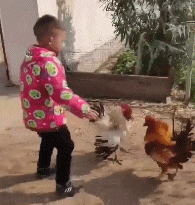 孩子|搞笑GIF：孩子，表扬一下啊！这活干的不错！