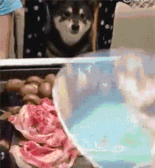 多人|搞笑GIF趣图：还是第一次见健身房里面有这么多人