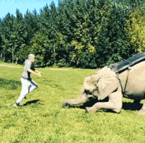 早上|「开心一刻」早上出门雾太大,路过学校没发现,走过了……