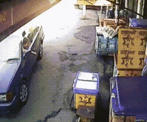 的哥|搞笑动态图GIF: 厉害了,我的哥,给你满分,别骄傲。