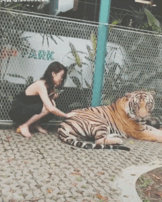 厉害|搞笑GIF趣图：小哥，你也是厉害了，嫂子你也敢亲啊！