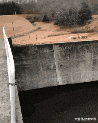 里地|搞笑GIF：爸妈才是真爱，我只是个小小的意外！