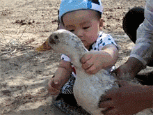 搞笑GIF：宝宝，你太给力了，吃一嘴鸭毛