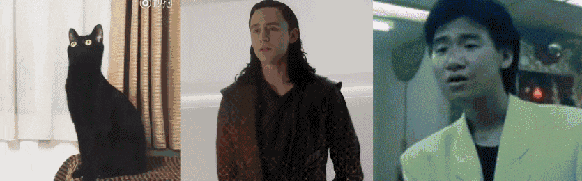 满满|搞笑GIF: 满满的眼神全是戏, 差点信了你的邪