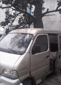 大神|搞笑GIF：本来以为又是大神，结尾过于舒适！