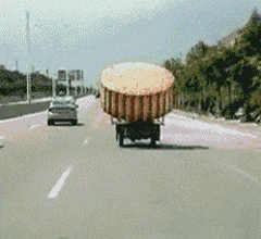 赵忠祥|搞笑GIF:囤了一块月饼!